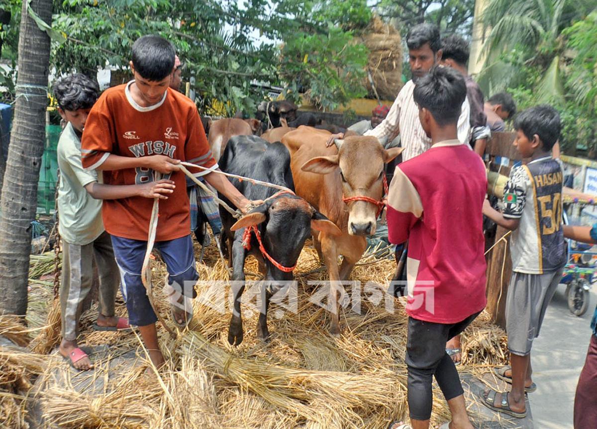 মালিবাগ রেল লাইন